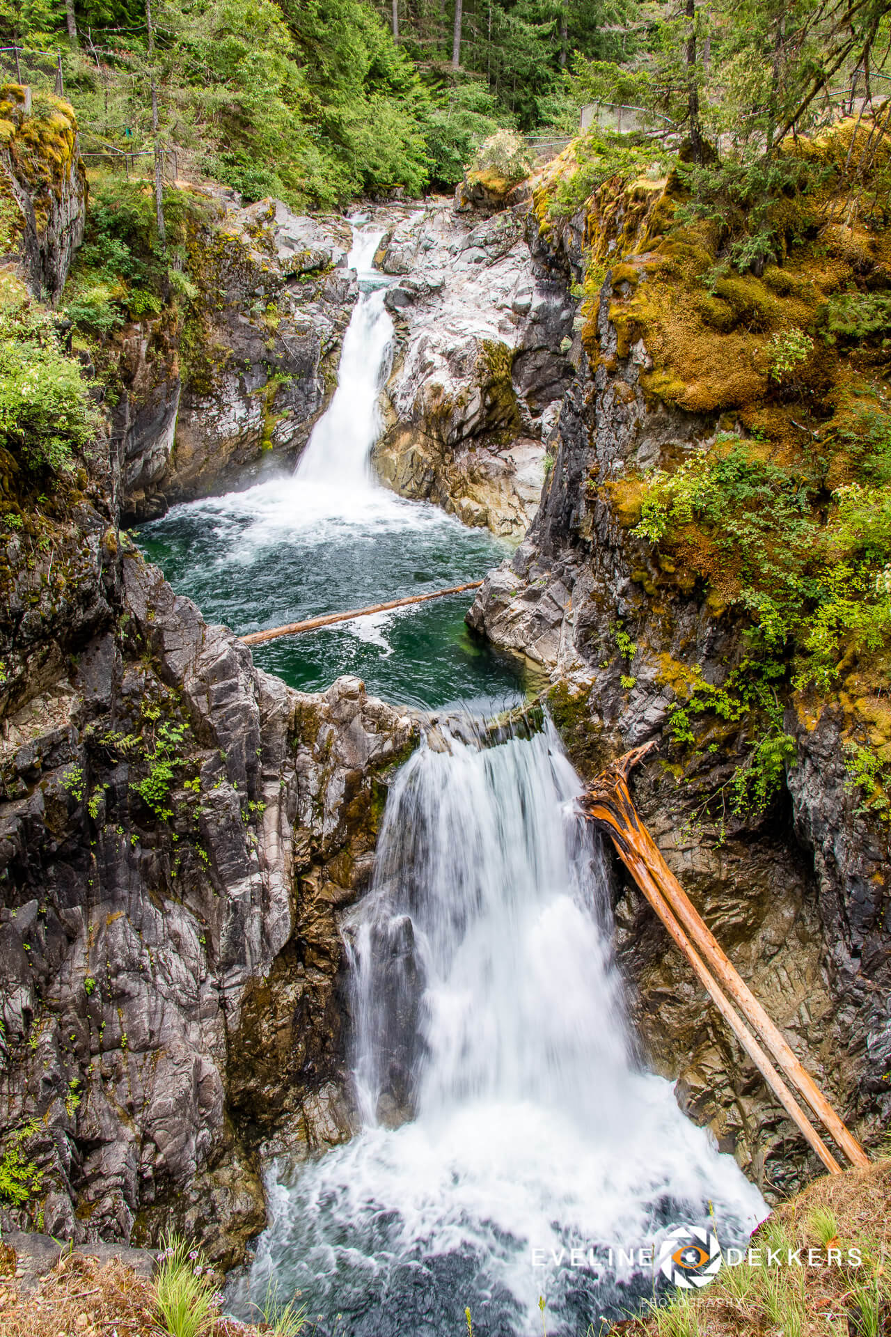 Qualicum Falls